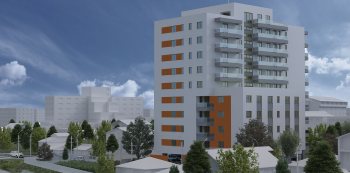 Concept Salciilor