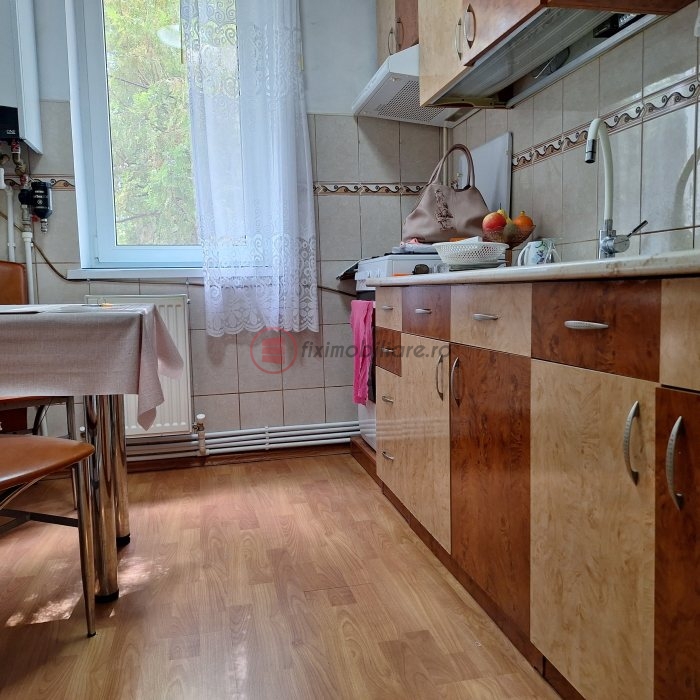 Tudor, Bucșinescu, 2 camere, 50mp, etajul 1